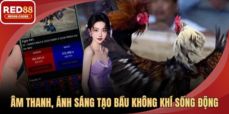 Âm thanh, ánh sáng kết hợp tạo bầu không khí sống động