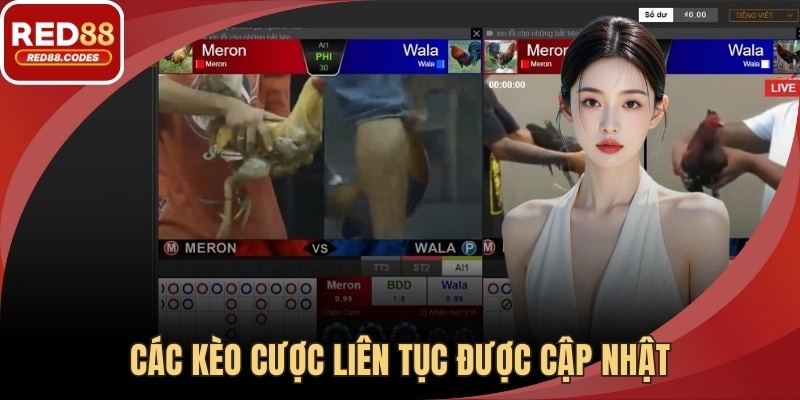 Các kèo cược liên tục được cập nhật dựa trên diễn biến