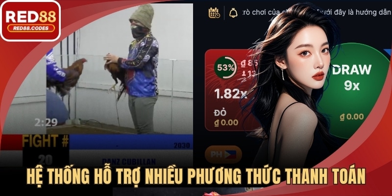 Hệ thống hỗ trợ nhiều phương thức thanh toán phổ biến