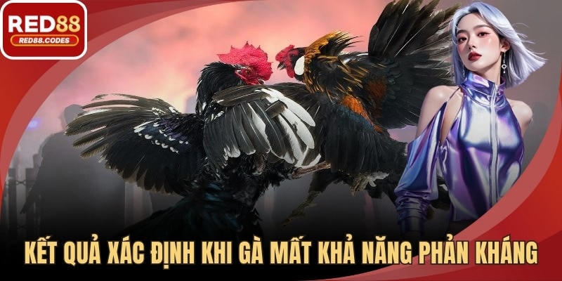 Kết quả xác định khi gà mất khả năng phản kháng